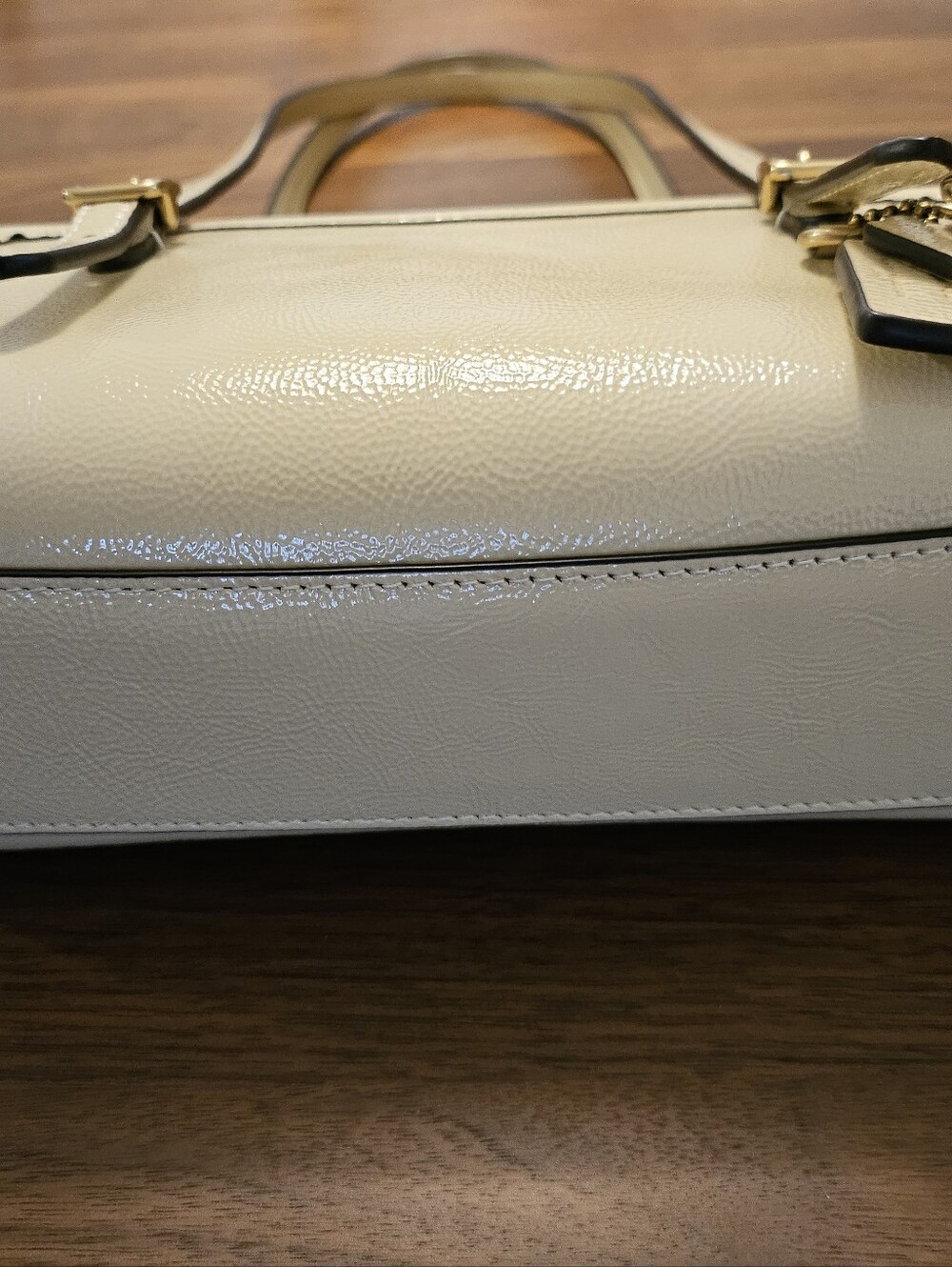 NWT COACH Swing Zip 20 in Moonlight - Picture 5 of 5